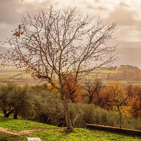 Bed & Breakfast Olio Su Tela Paliano