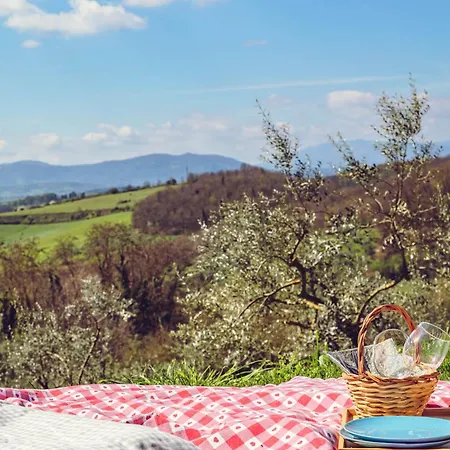 Olio Su Tela